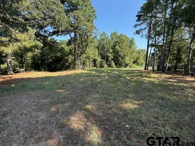 a view of outdoor space with trees