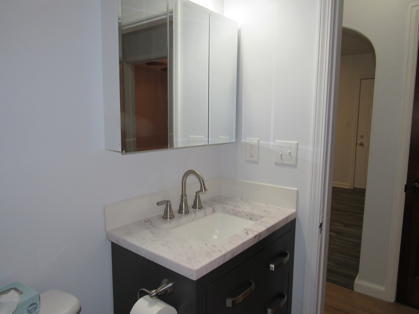 730 Lincoln Road Bettendorf, IA 52722 - Photo 8 of 13 a bathroom with a sink vanity and toilet