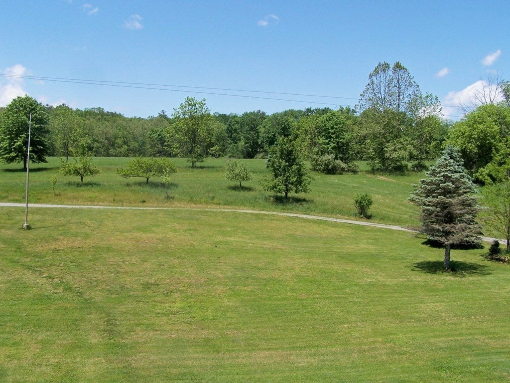 119 Grist Flat Road Tunkhannock, PA 18657 - Photo 8 of 54 Gallery Image 8