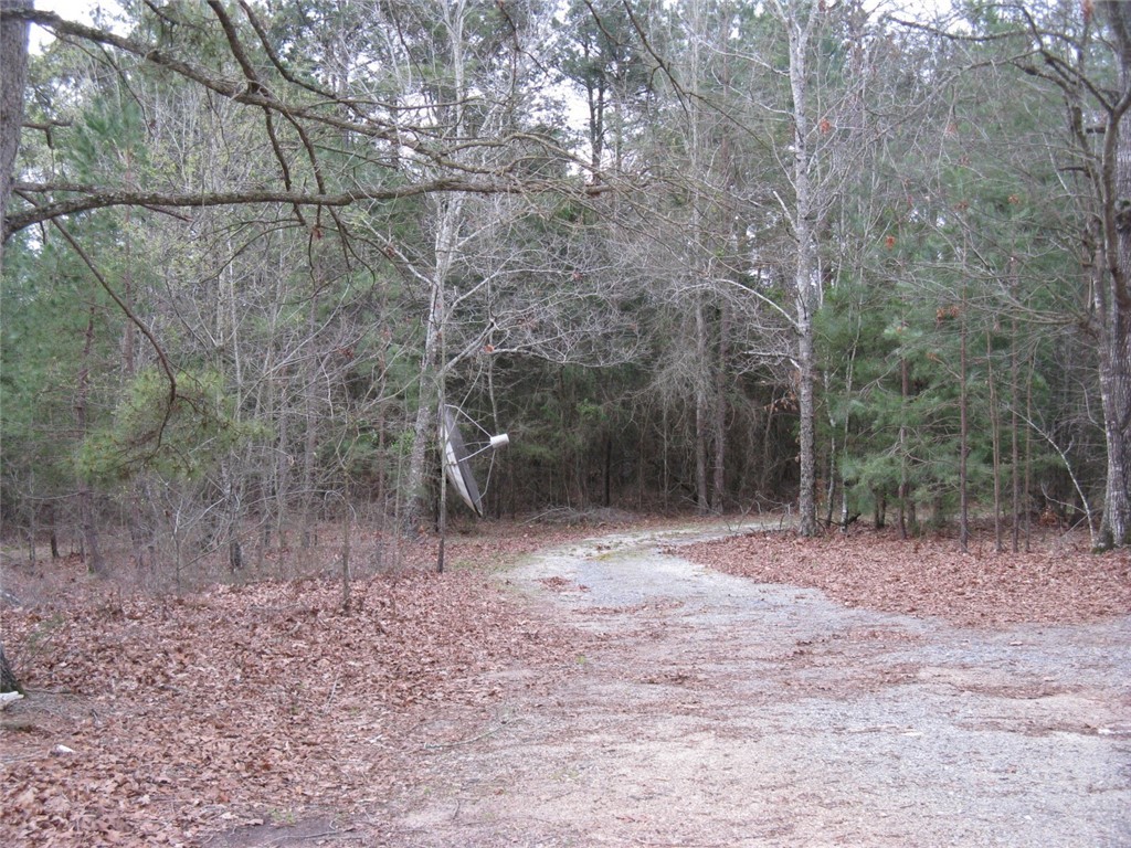 204 West W Burton Road Iva, SC 29655 - Photo 3 of 6
