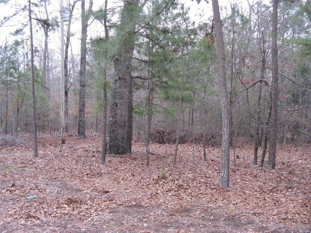 204 West W Burton Road Iva, SC 29655 - Photo 4 of 6