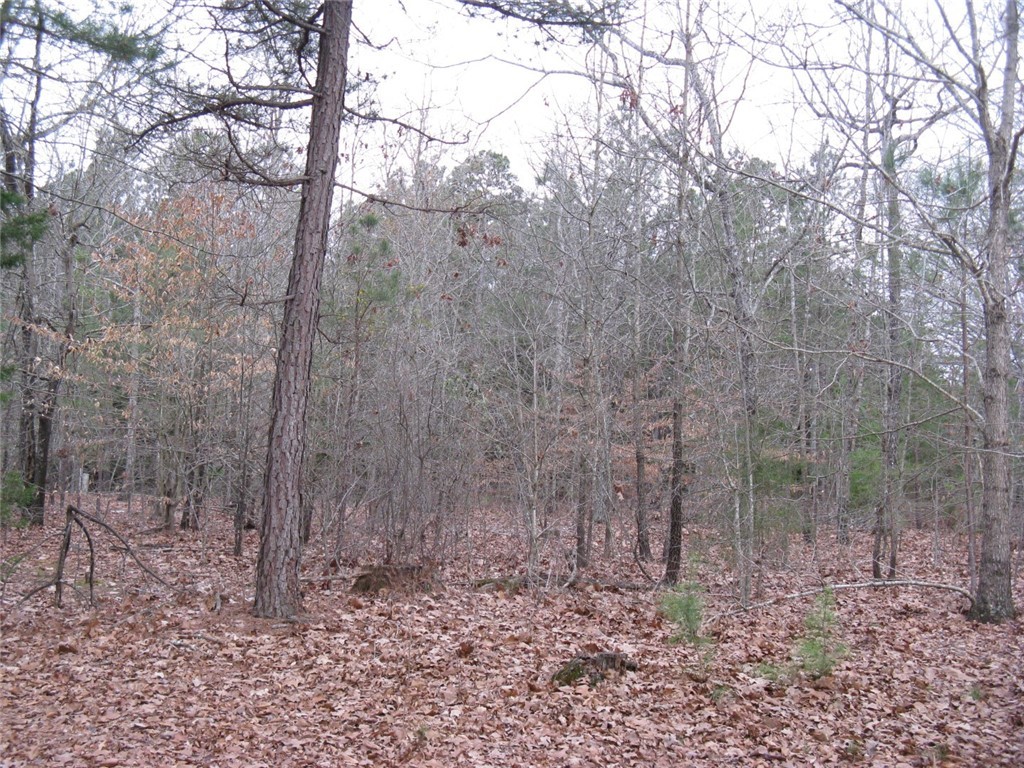 204 West W Burton Road Iva, SC 29655 - Photo 5 of 6