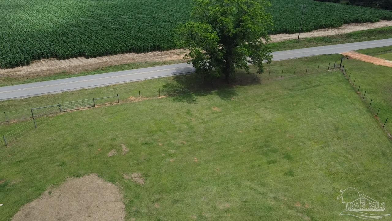 145 Tower Road Uriah, AL 36480 - Photo 64 of 72 a picture of a yard