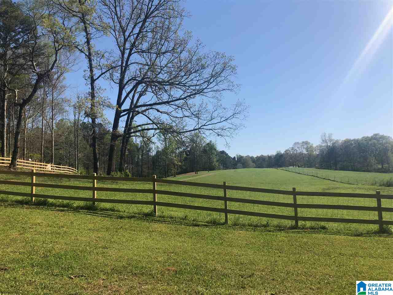 Mt Moriah Road, Unit 1 Pell City, AL 35125 - Photo 6 of 7 Gallery Image 6