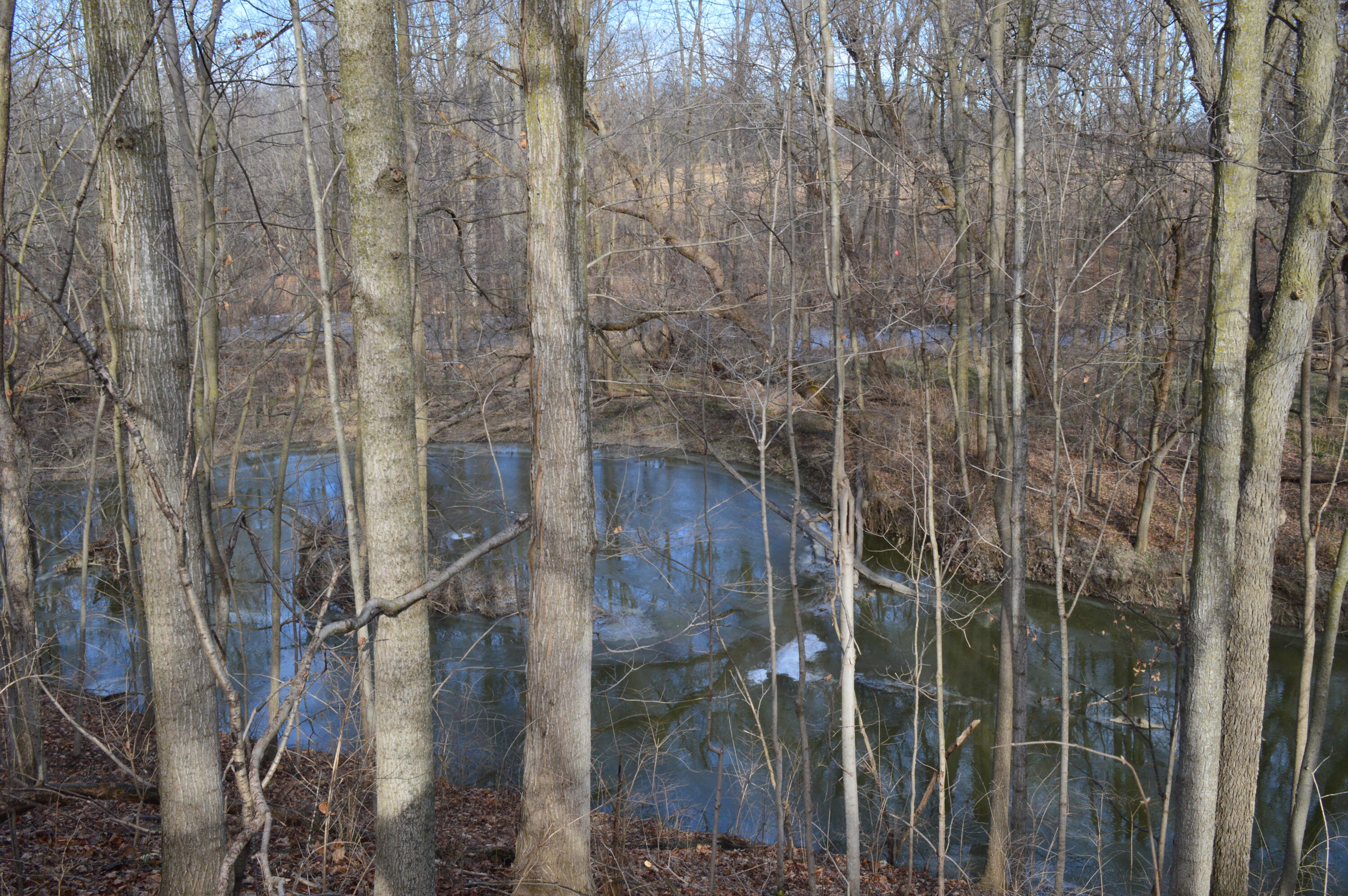 1606 Mooreville Road Milan, MI 48160 - Photo 3 of 9 River view down
