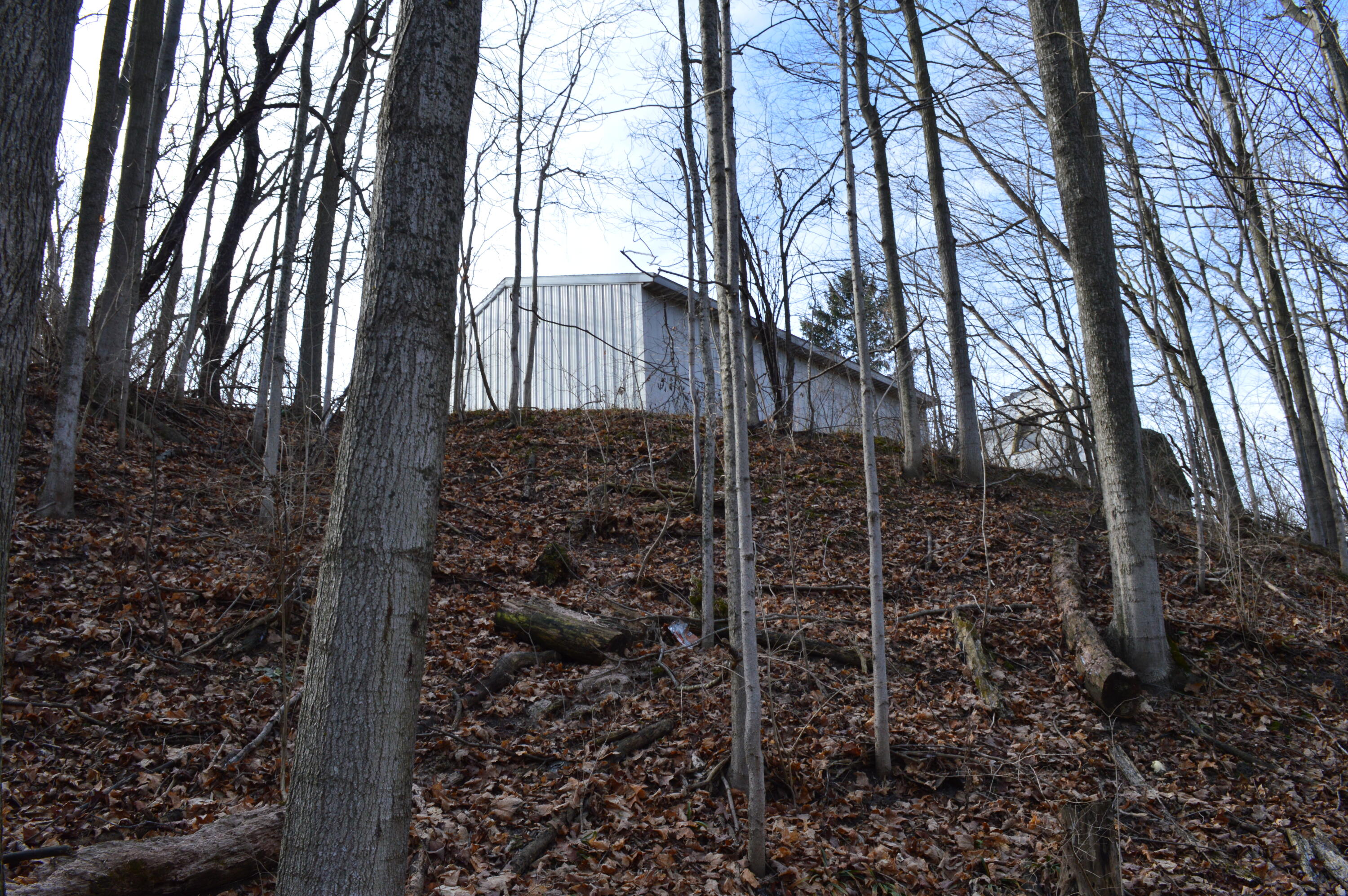 1606 Mooreville Road Milan, MI 48160 - Photo 8 of 9 Barn from below