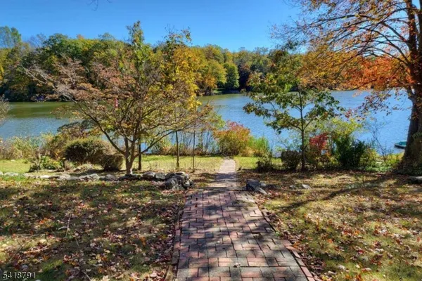 a view of a yard with a tree