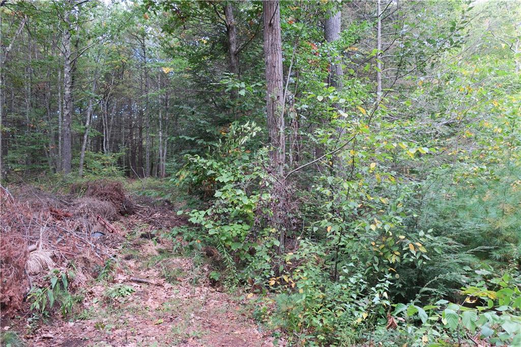186 Mountain Road York, ME 03902 - Photo 1 of 7 Photo