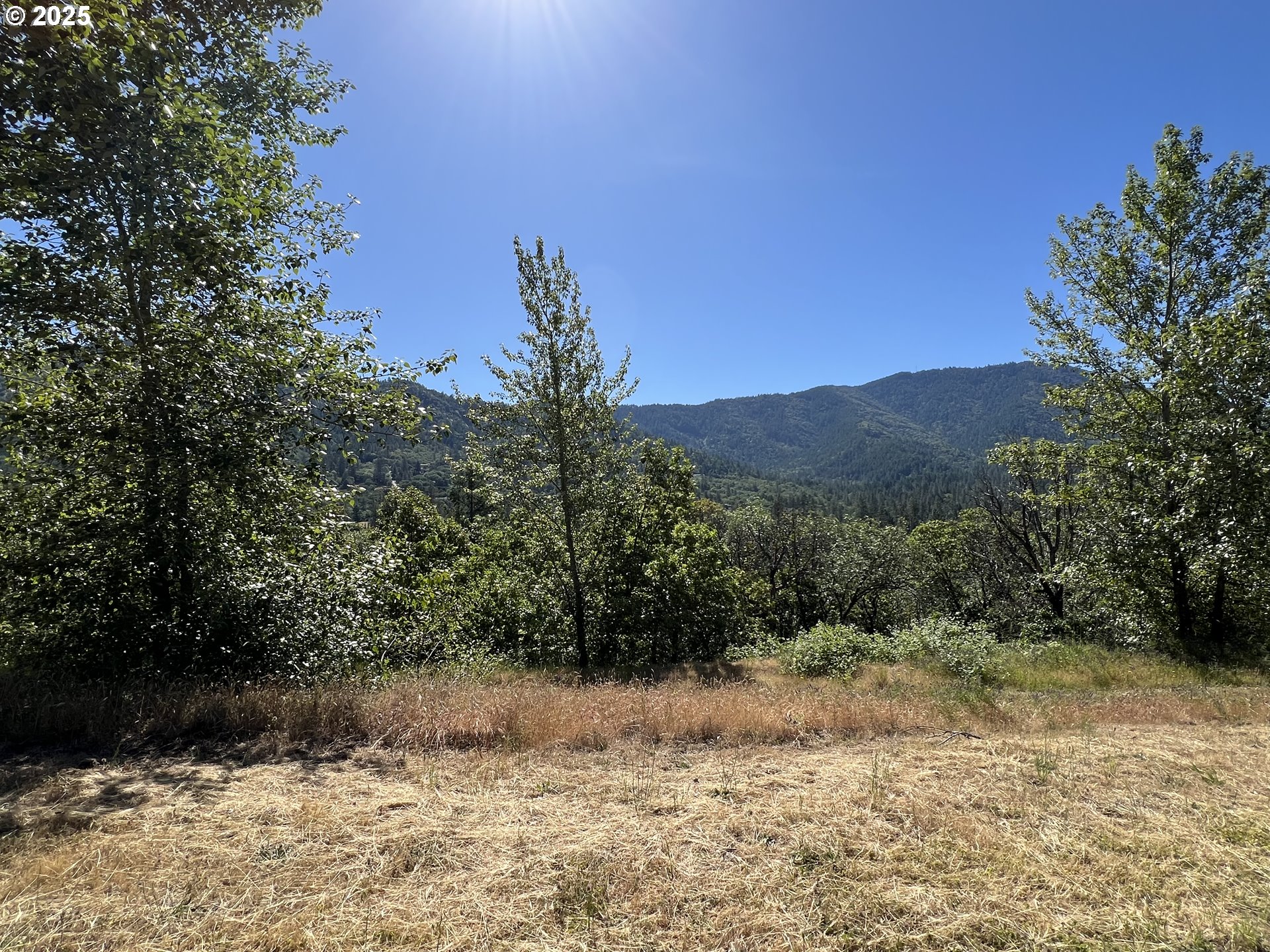 1620 Panoramic Loop Grants Pass, OR 97527 - Photo 1 of 10 a view of a yard