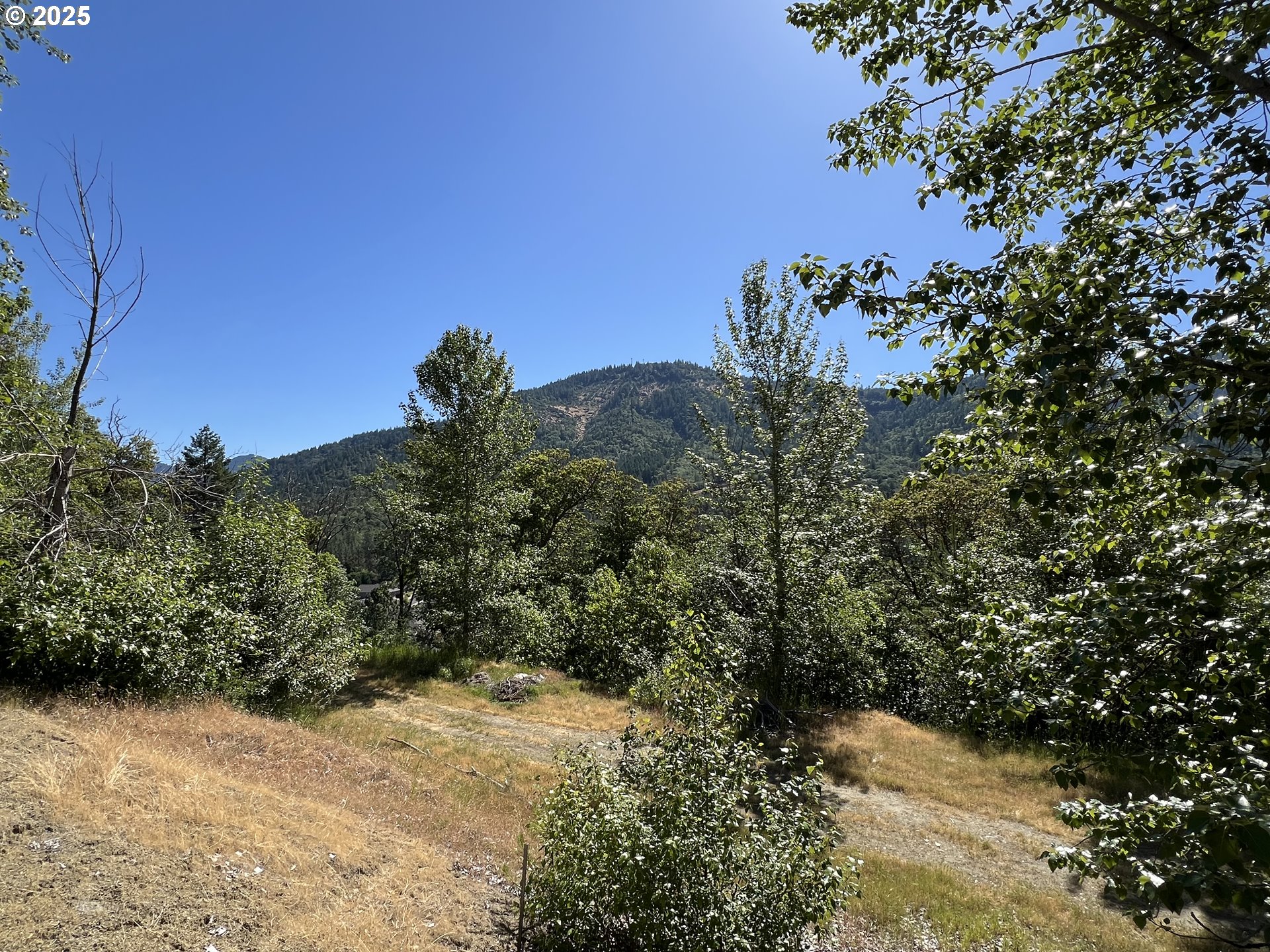 1620 Panoramic Loop Grants Pass, OR 97527 - Photo 5 of 10 a view of a tree in a yard with a tree