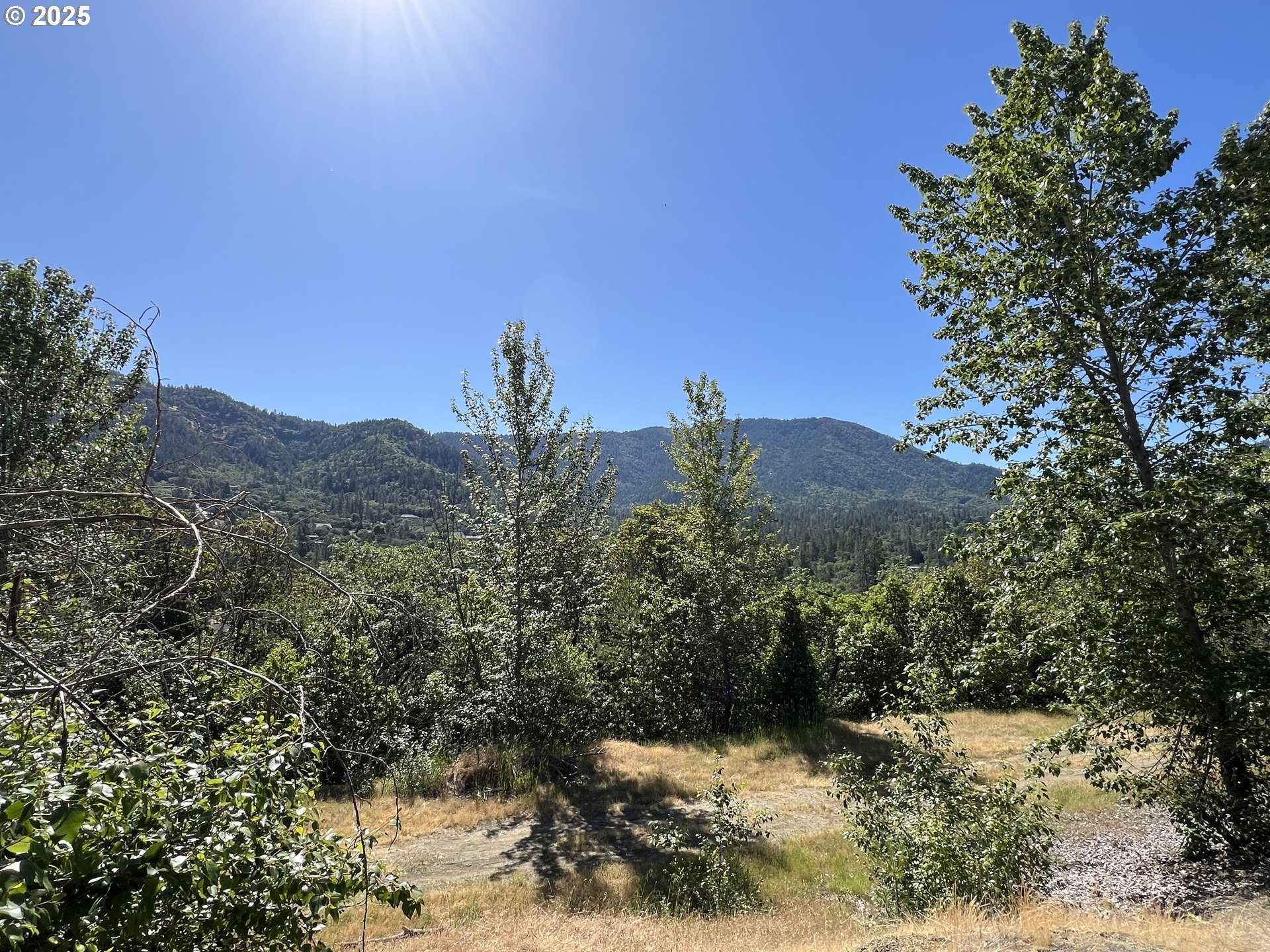 1620 Panoramic Loop Grants Pass, OR 97527 - Photo 6 of 10 a view of a yard with a tree