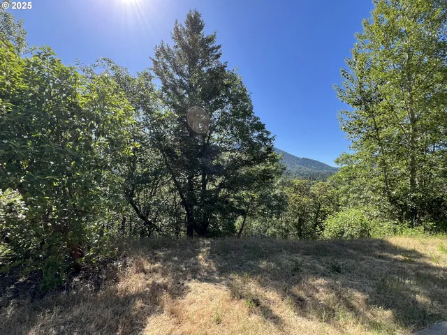 a view of a yard with a tree