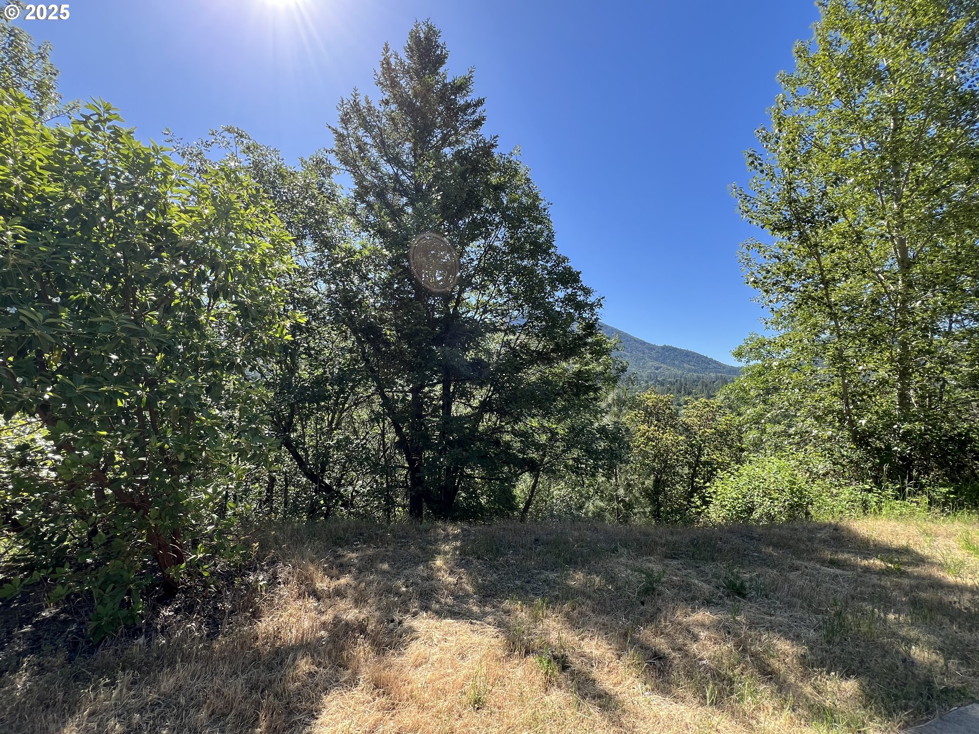 1620 Panoramic Loop Grants Pass, OR 97527 - Photo 8 of 10 a view of a yard with a tree