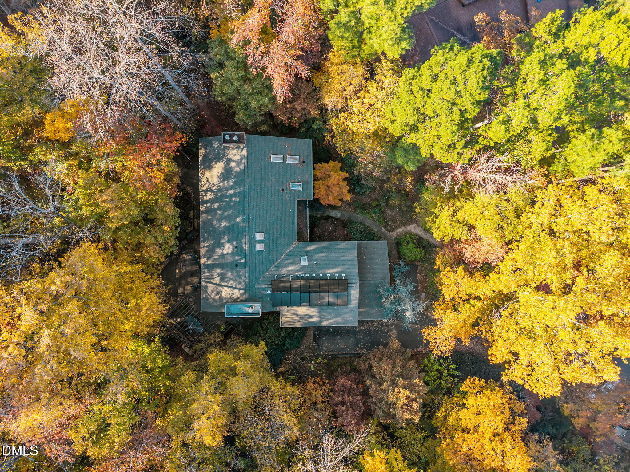 8 Womble Circle Durham, NC 27705 - Photo 46 of 49 a picture of trees