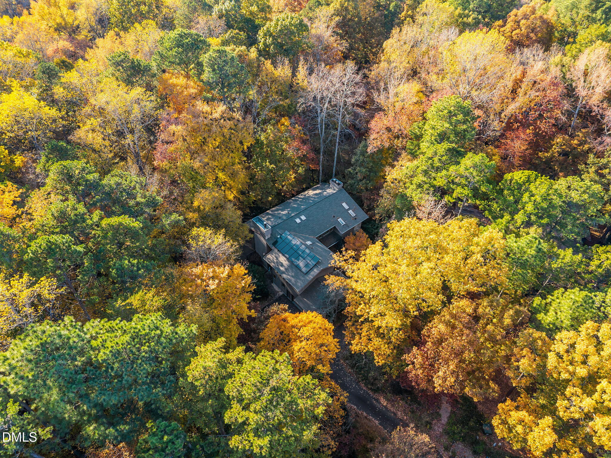 8 Womble Circle Durham, NC 27705 - Photo 47 of 49 a view of a yard with plants