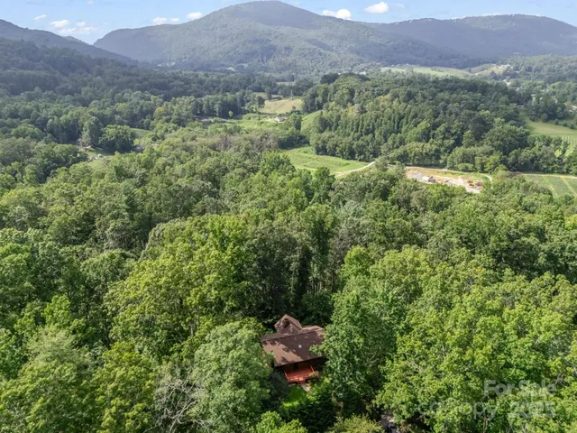 a view of a lush green hillside and houses