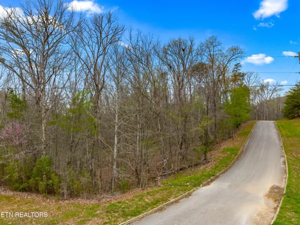 $34,900 | Lot 107 Turtle Dove Trail, Dandridge, TN 37725