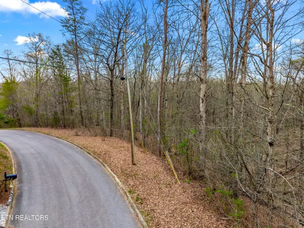 $34,900 | Lot 107 Turtle Dove Trail, Dandridge, TN 37725
