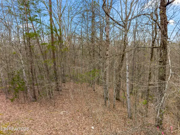 $34,900 | Lot 107 Turtle Dove Trail, Dandridge, TN 37725