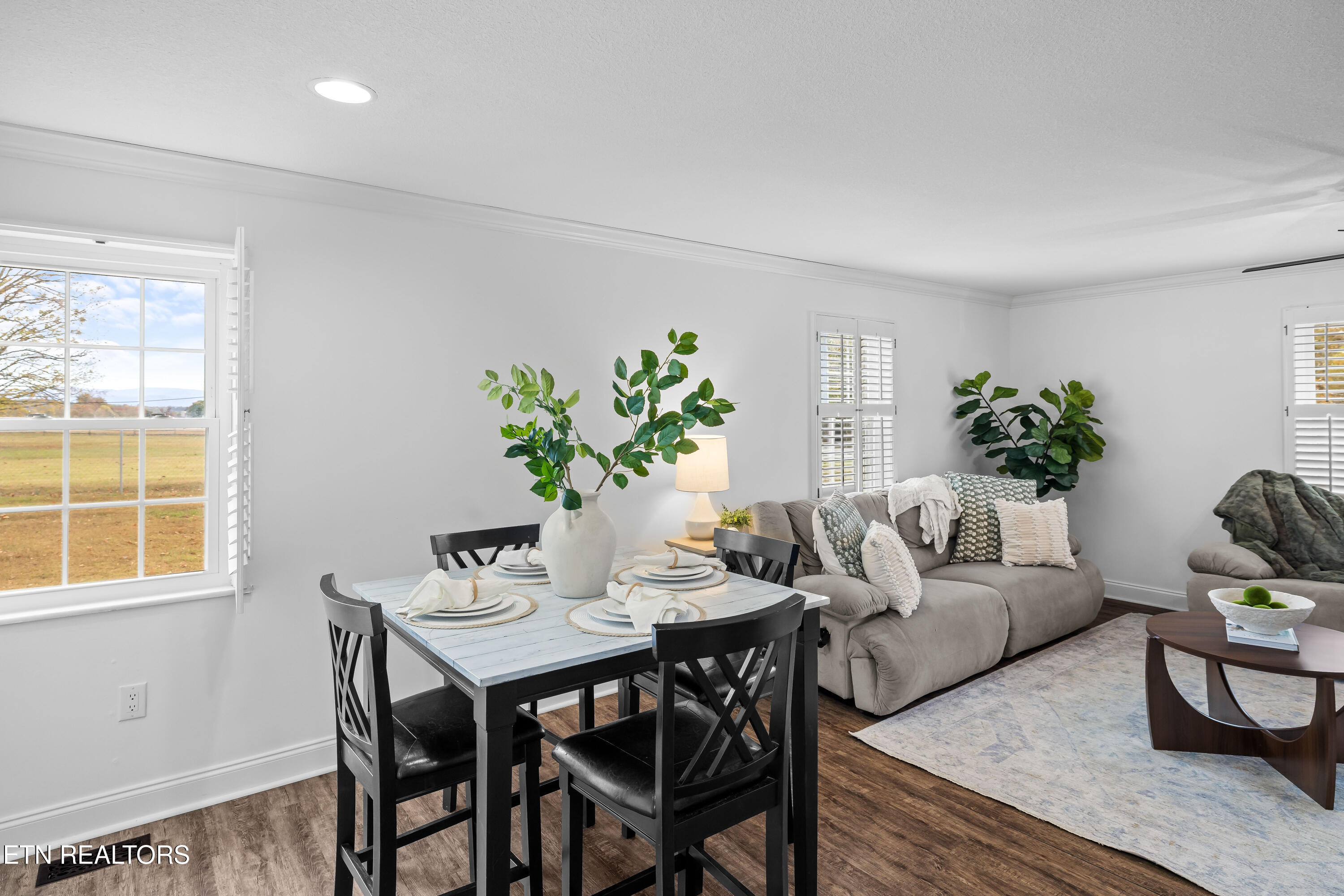 407 McTeer Road Greenback, TN 37742 - Photo 19 of 35 407McTeerSt-43