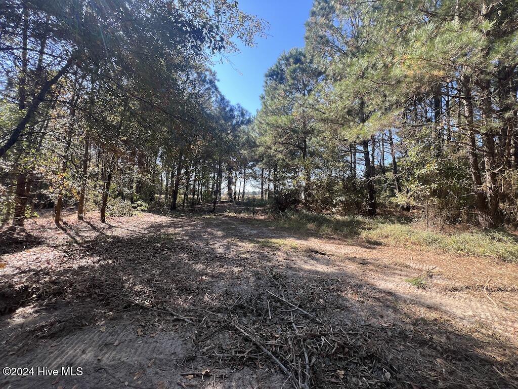 1 Veaches Mill Road Warsaw, NC 28398 - Photo 18 of 33 17