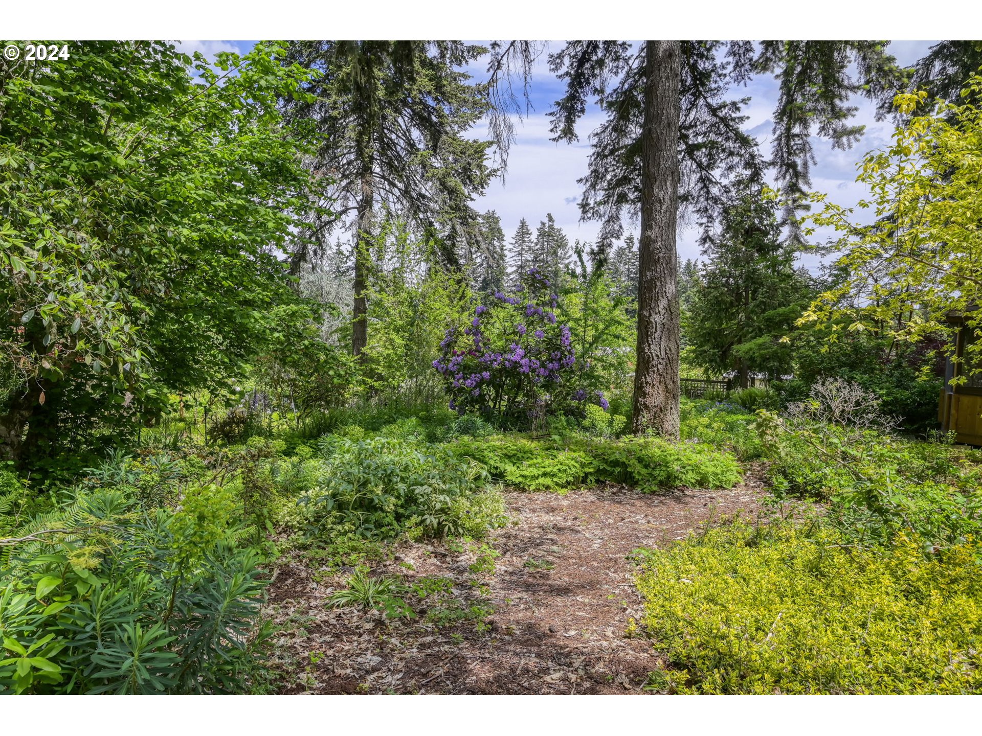 32231 Deberry Road Creswell, OR 97426 - Photo 21 of 48 Gallery Image 21