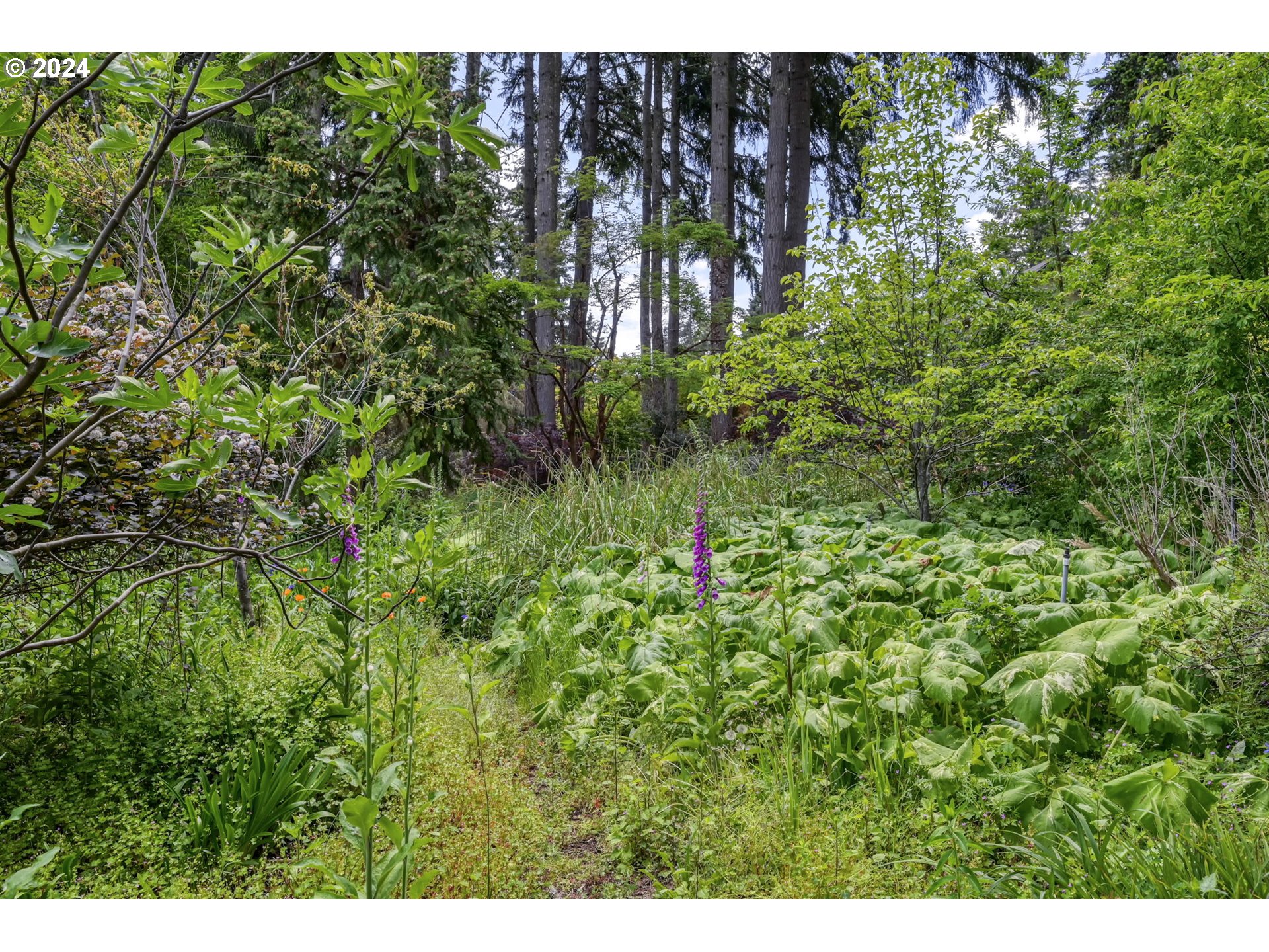 32231 Deberry Road Creswell, OR 97426 - Photo 27 of 48 Gallery Image 27