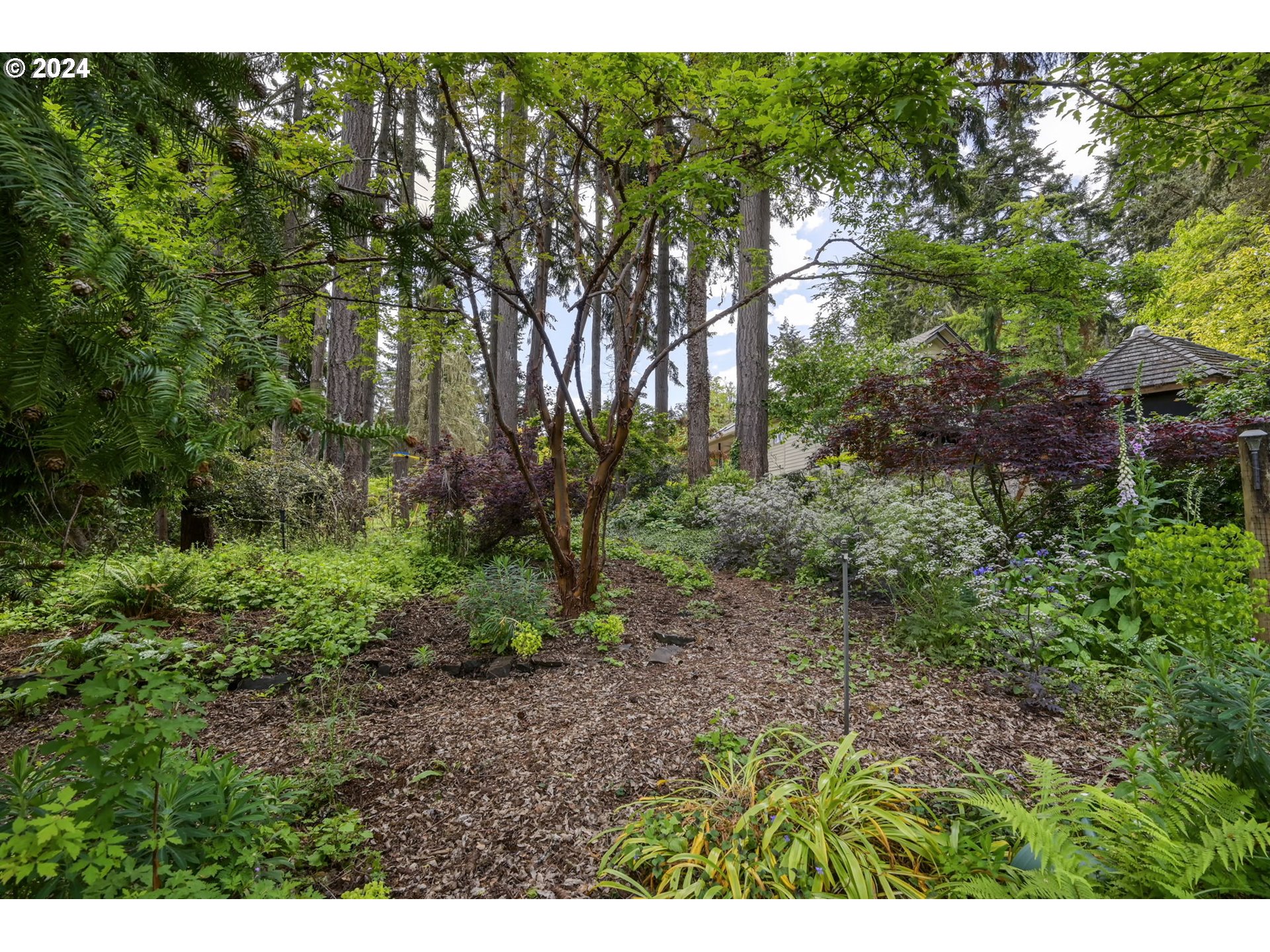 32231 Deberry Road Creswell, OR 97426 - Photo 28 of 48 Gallery Image 28