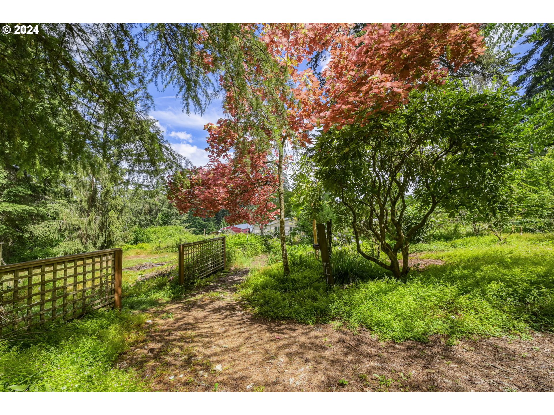 32231 Deberry Road Creswell, OR 97426 - Photo 29 of 48 Gallery Image 29