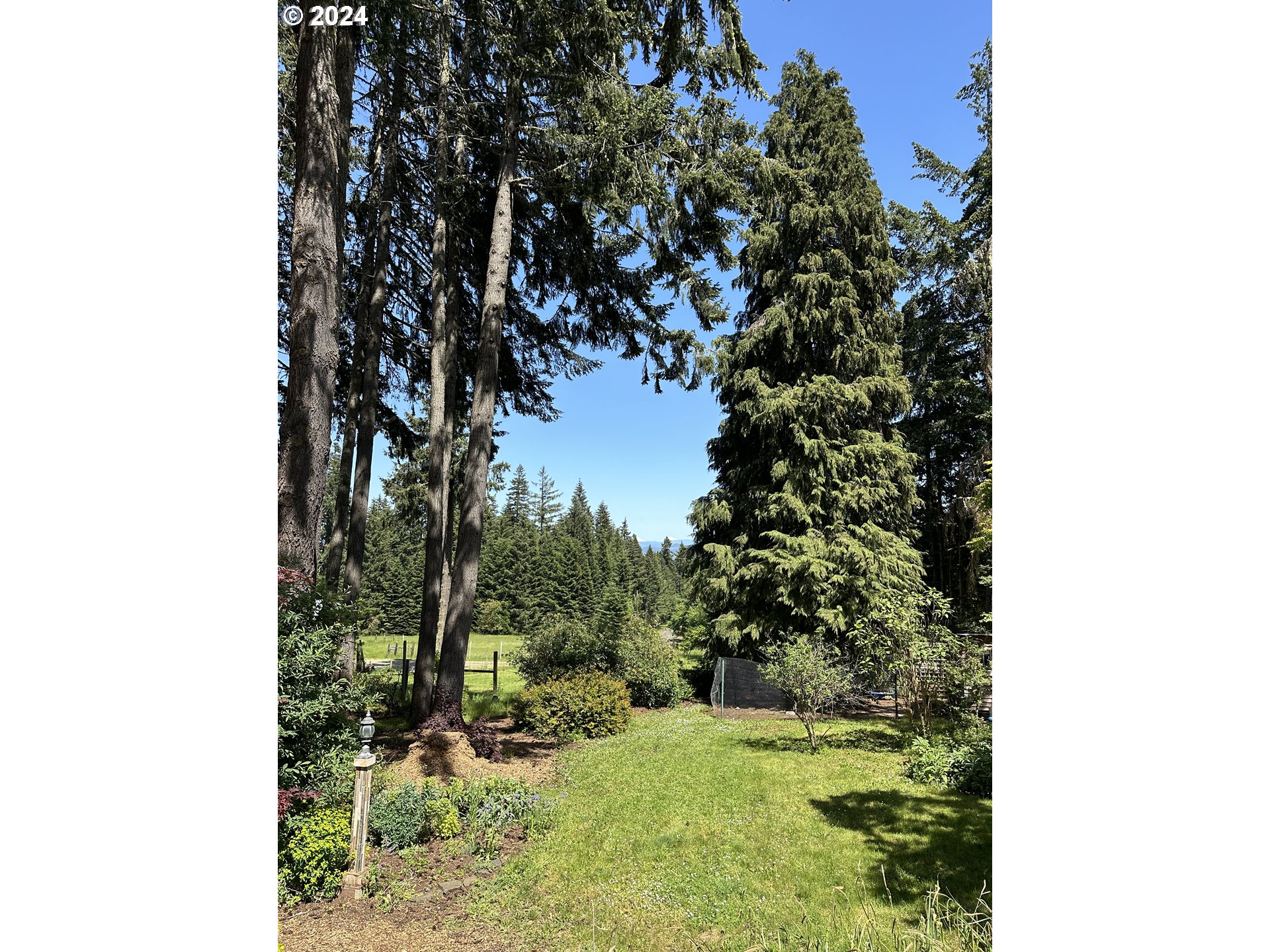 32231 Deberry Road Creswell, OR 97426 - Photo 47 of 48 Gallery Image 47