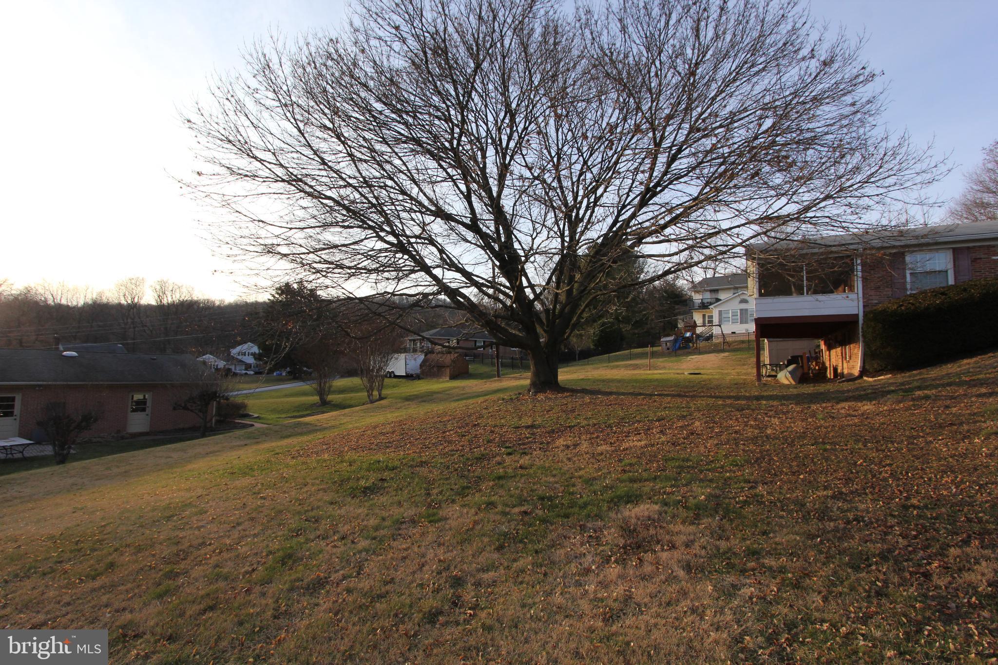 5605 Shookstown Road Frederick, MD 21702 - Photo 38 of 53 Magnificent maple