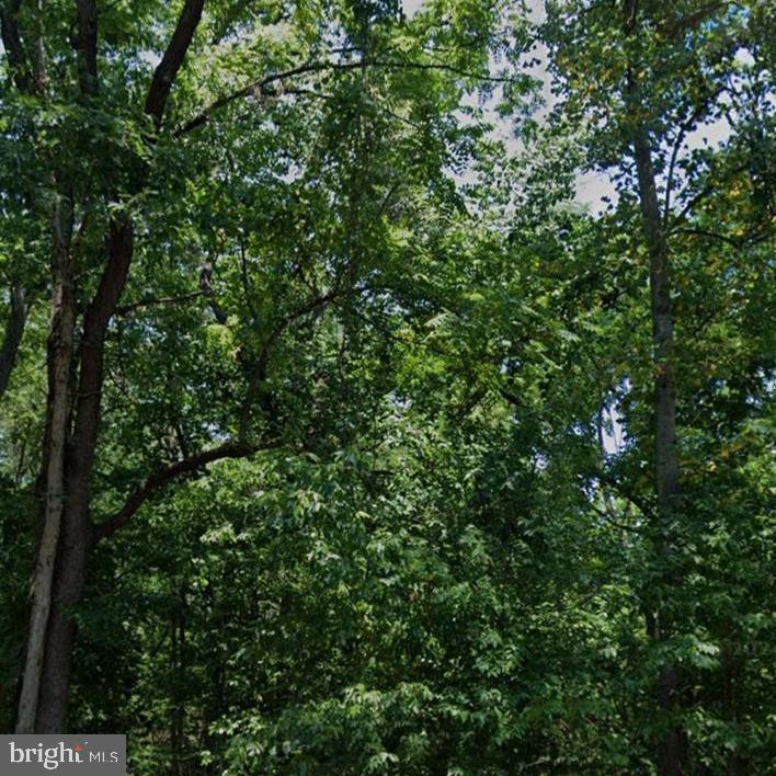 0 Stoney Bottom Road Front Royal, VA 22630 - Photo 2 of 3