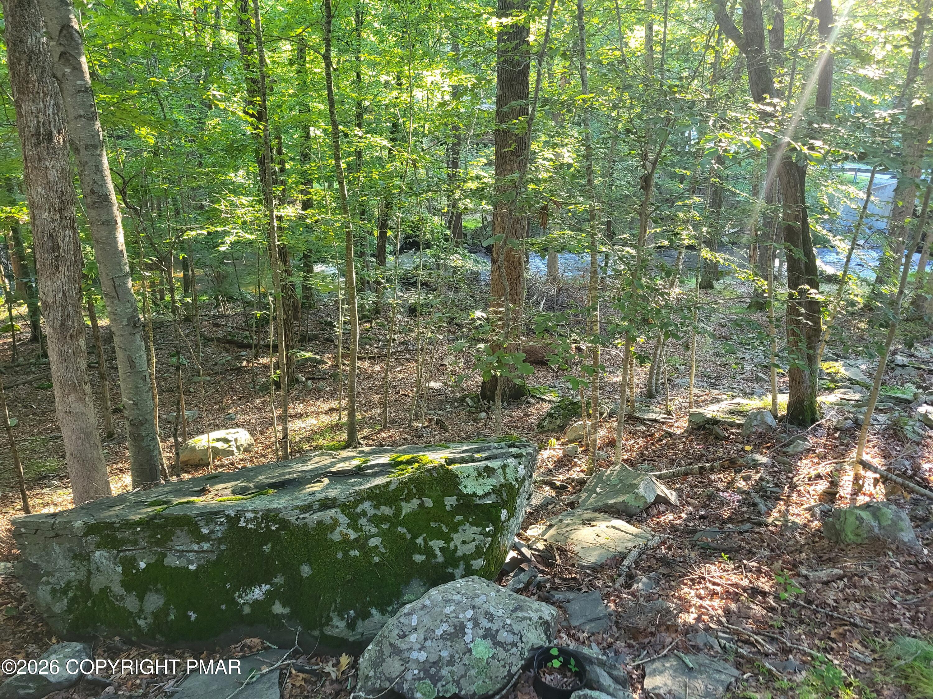 6384 Decker Road Bushkill, PA 18324 - Photo 16 of 69 20260731_183400