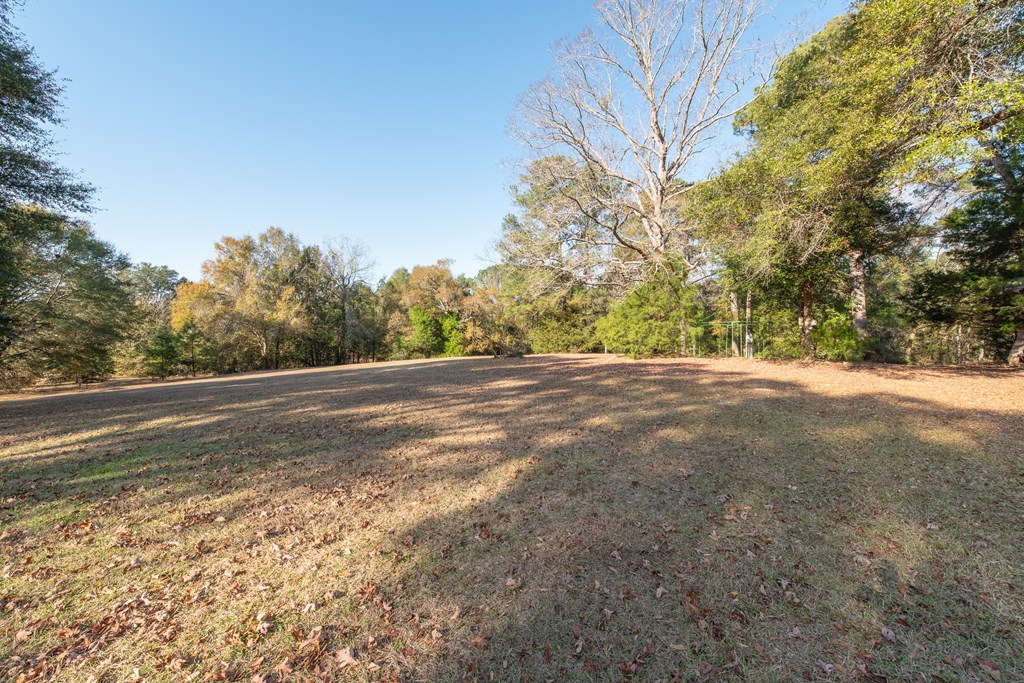 347 North Martin Street Geneva, AL 36340 - Photo 21 of 42