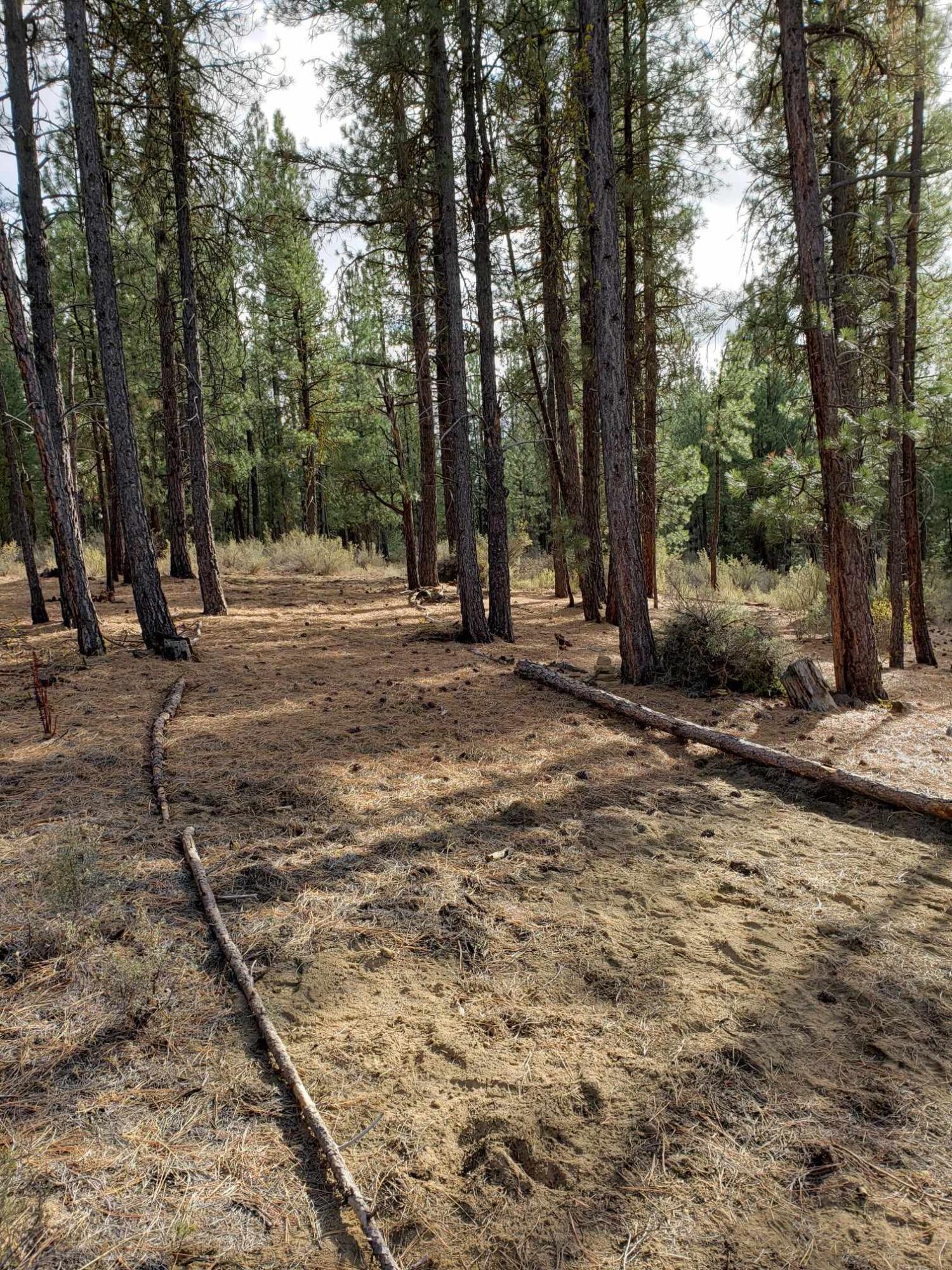 Mclemore Way, Unit 13 Chiloquin, OR 97624 - Photo 5 of 21 received_718888190068825