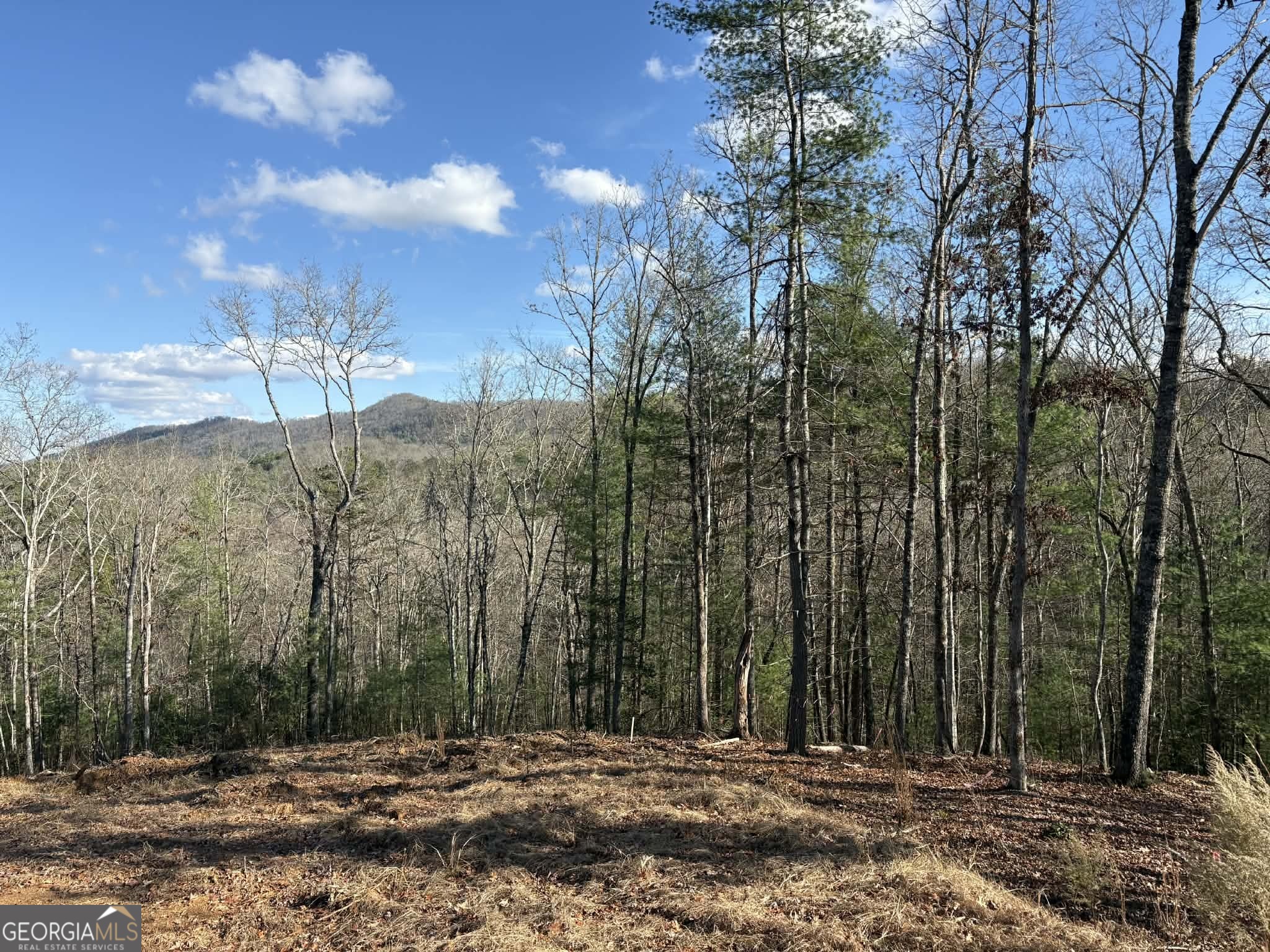 Lot 86 Lookout Ridge Mineral Bluff, GA 30559 - Photo 3 of 10