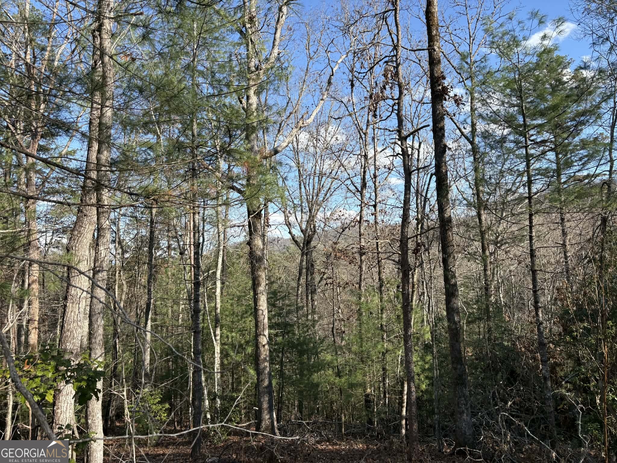 Lot 86 Lookout Ridge Mineral Bluff, GA 30559 - Photo 6 of 10