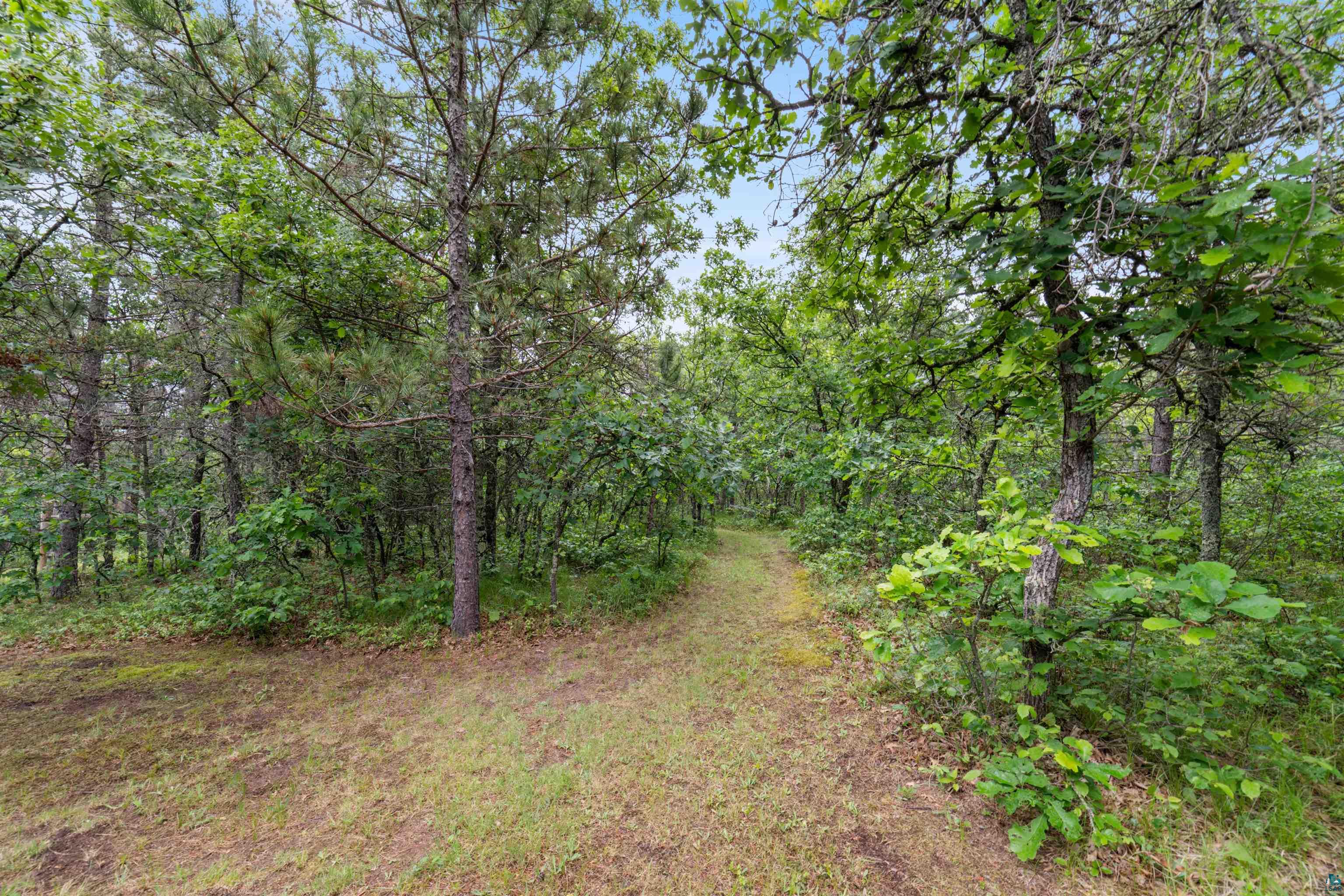 11321 East Town Line Road Solon Springs, WI 54873 - Photo 22 of 31 View of woods