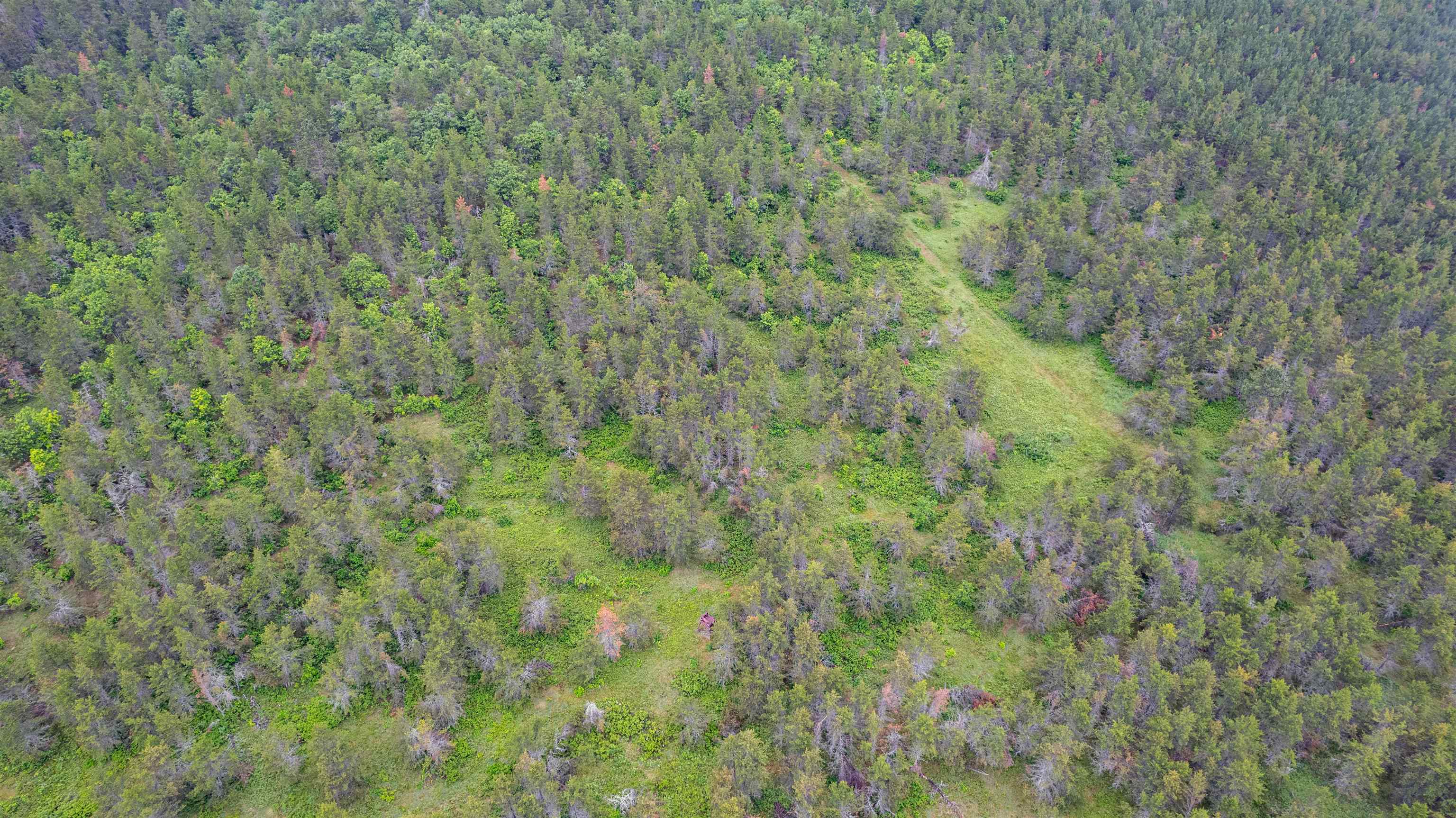 11321 East Town Line Road Solon Springs, WI 54873 - Photo 28 of 31 View of property location with a forest