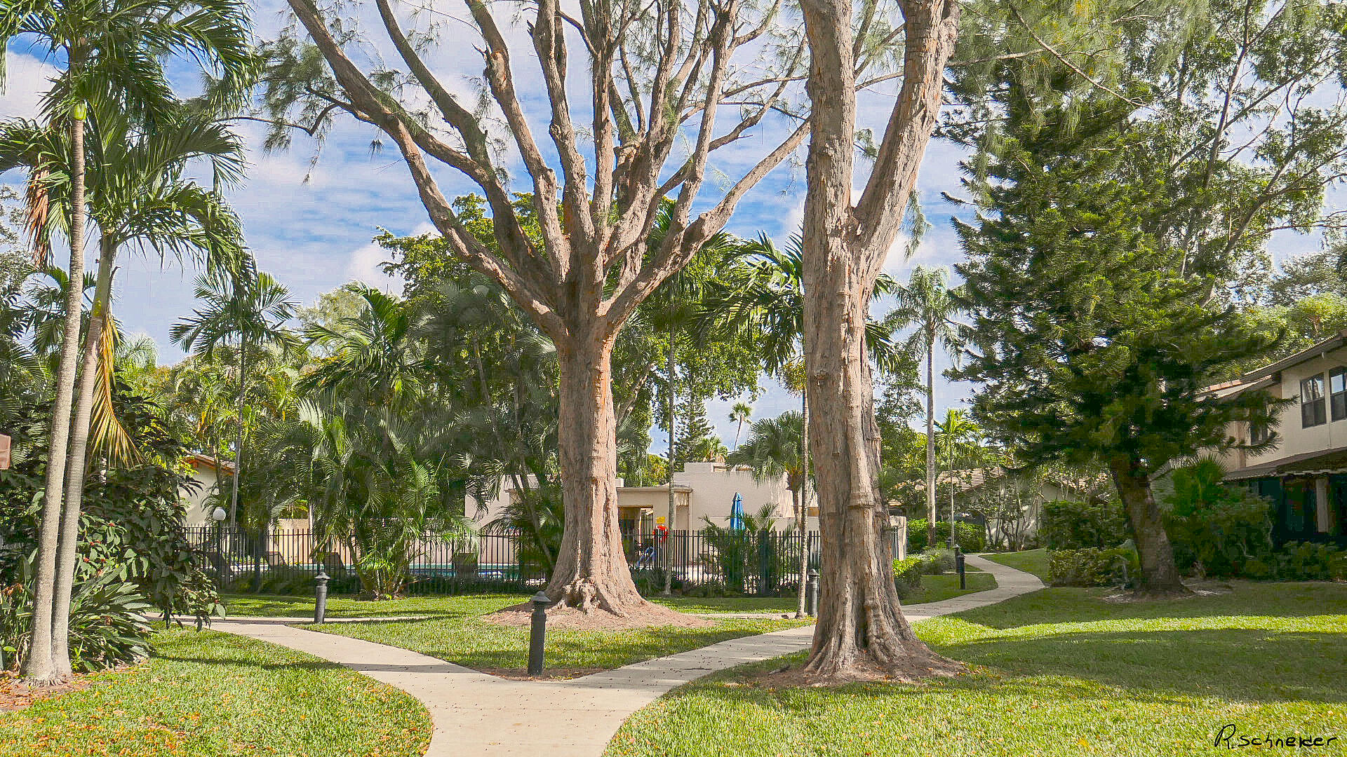 5535 Constant Spring Terrace, Unit 216 Lauderhill, FL 33319 - Photo 47 of 51 a view of a park with tree s