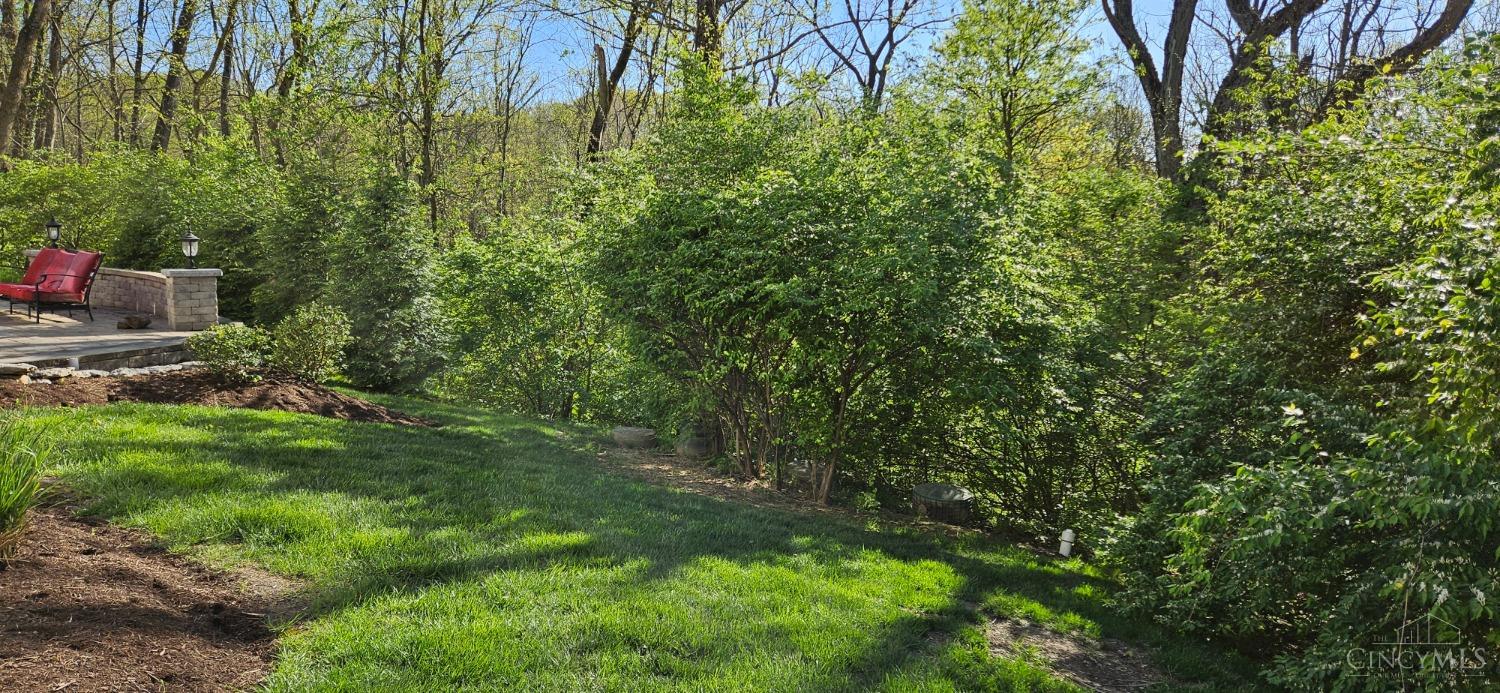 651 North Meadowcrest Road Cincinnati, OH 45231 - Photo 44 of 50 Gallery Image 44