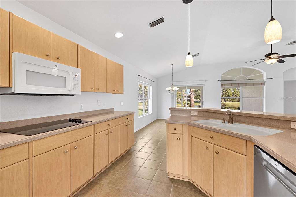 1741 Arbor Knoll Loop Trinity, FL 34655 - Photo 14 of 39