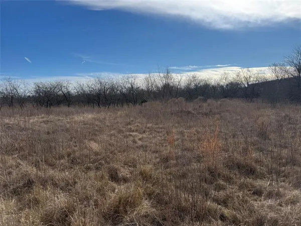 $49,800 | 2.29-acres Boren Private Road, Wortham, TX 76693