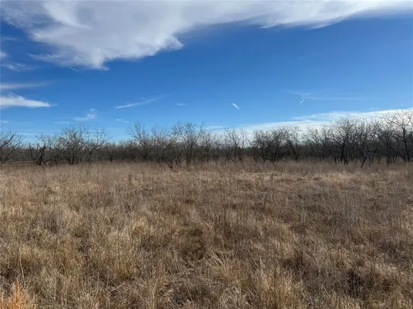 $49,800 | 2.29-acres Boren Private Road, Wortham, TX 76693