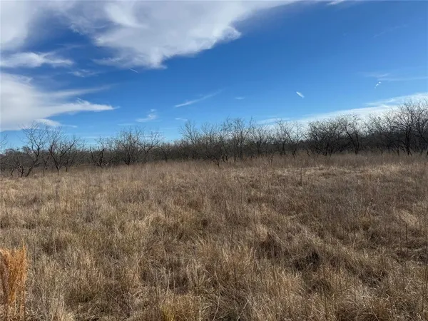 $49,800 | 2.29-acres Boren Private Road, Wortham, TX 76693