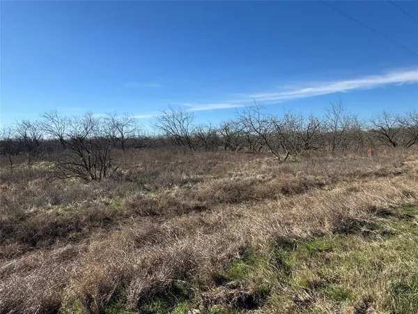 $49,800 | 2.29-acres Boren Private Road, Wortham, TX 76693