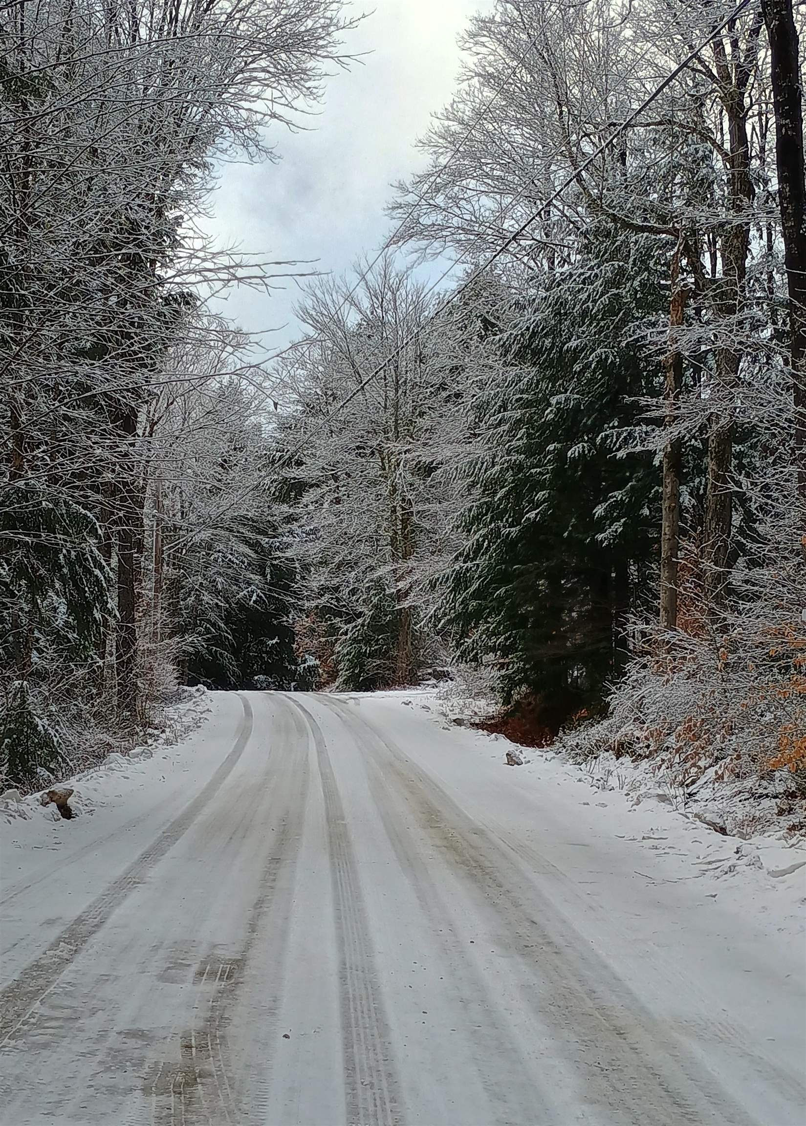 0 Keyes Hollow Road Lempster, NH 03605 - Photo 5 of 5 Gallery Image 5
