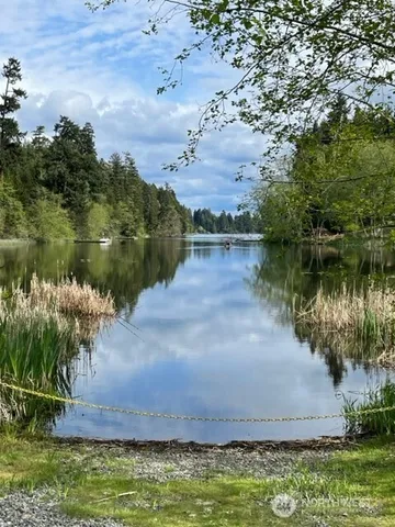 a view of a lake from a yard