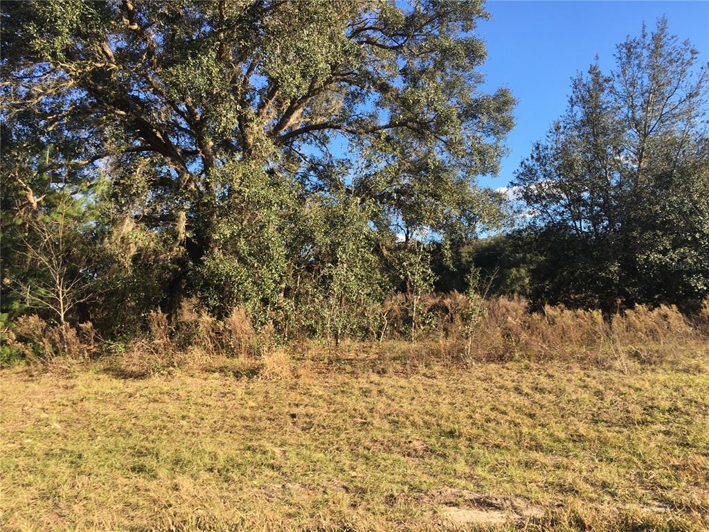 0 Southwest 56th Terrace Ocala, FL 34473 - Photo 1 of 1