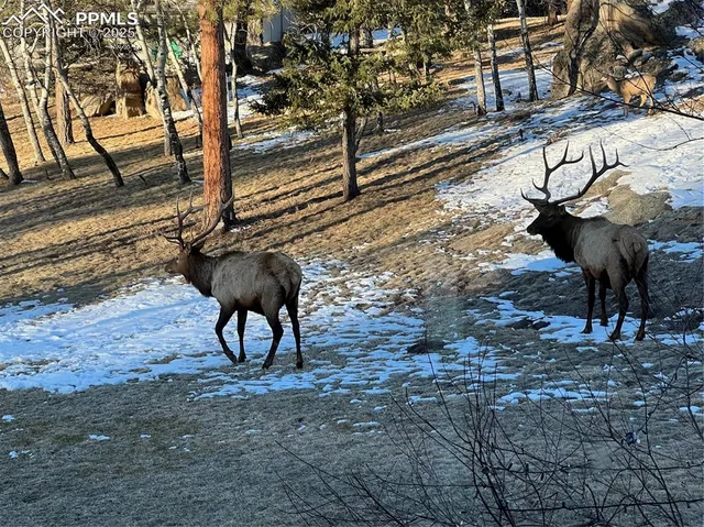 $7,695,000 | 6917 Timbers Drive, Evergreen, CO 80439